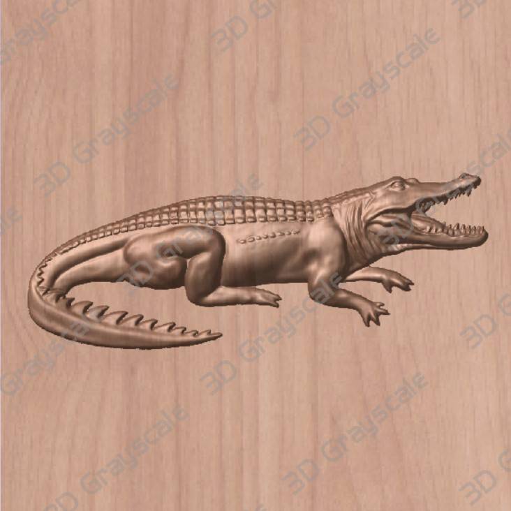 Alligator Preview Alligator Preview
