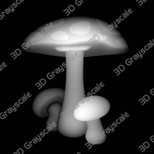 Mushrooms