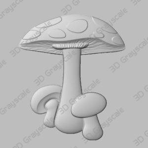 Mushrooms Preview