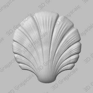 Sea Shell Preview
