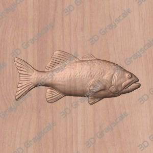 Bass Fish preview