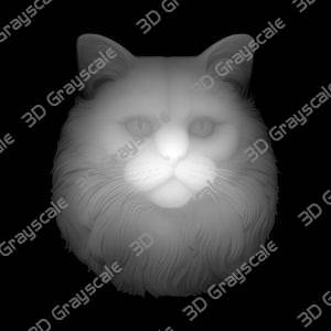 Realistic Cat Head - Heightmap Download
