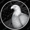 Noble Eagle 3D Relief File | Patriotic Bird Engraving | CNC & Fiber Laser | Regal Coin Design - Heightmap Download