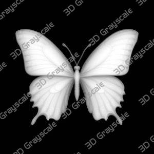 Butterfly - Heightmap Download