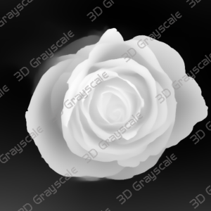 Another Rose - Heightmap Download